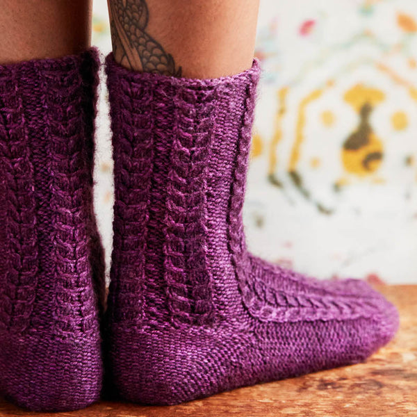 Field Guide 27: Sock Odyssey