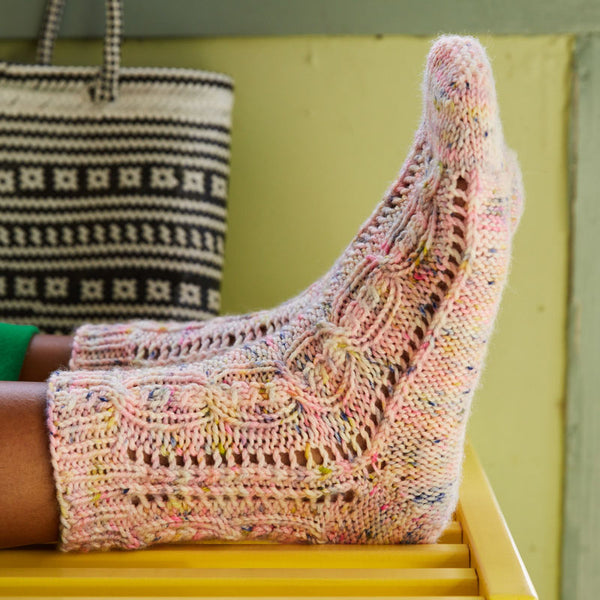 Field Guide 27: Sock Odyssey