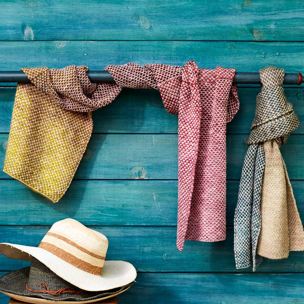 Field Guide 21: Brioche