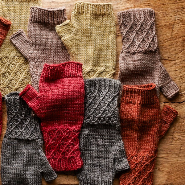 Field Guide No. 8: Merry Making