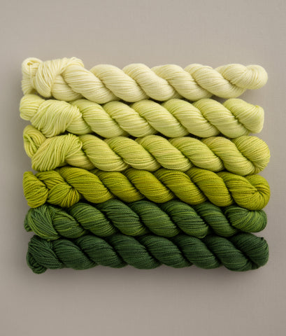 Mini Colour Fade - 6 colours