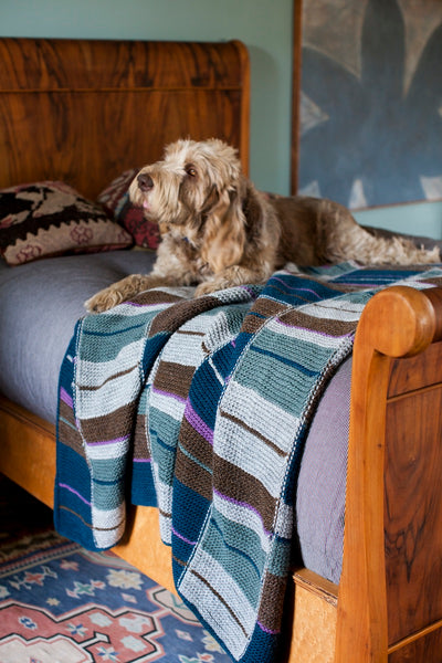 Field Guide No. 1: Stripes